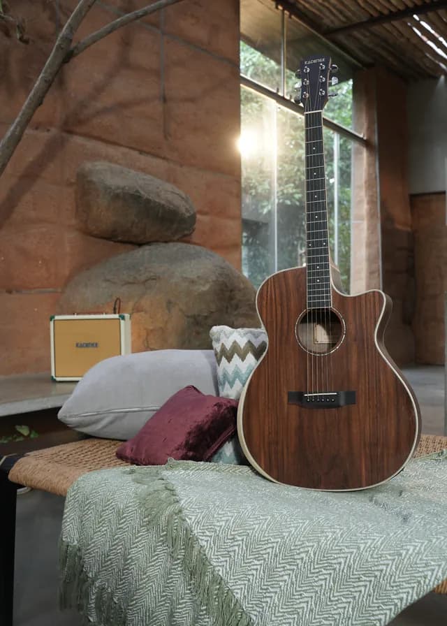 Premium Guitars
