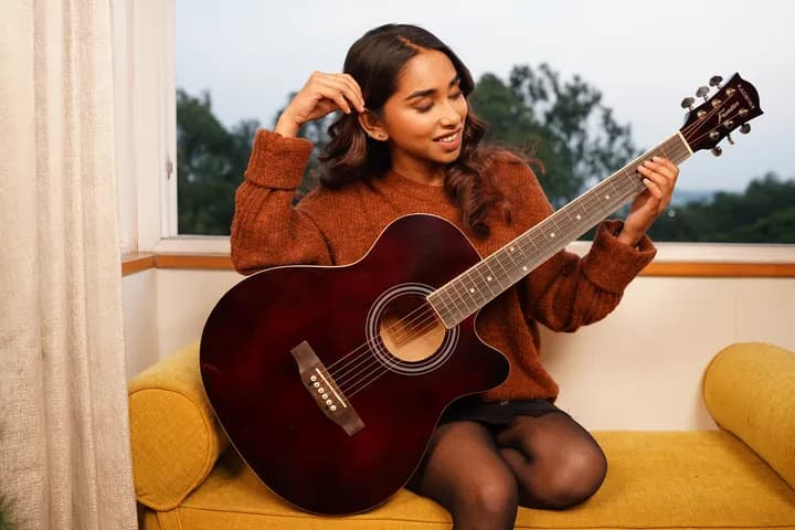 Budget Guitars