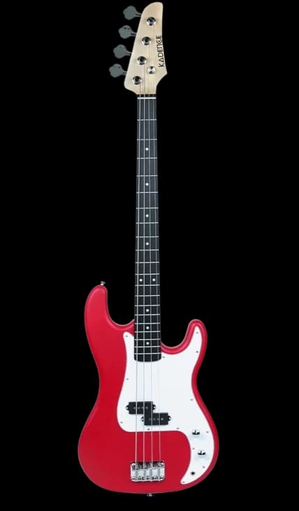 Bass Guitars
