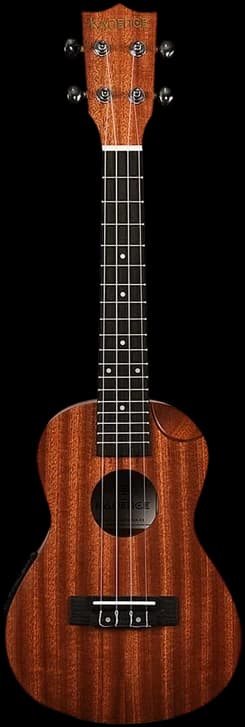 Big Belly Ukulele