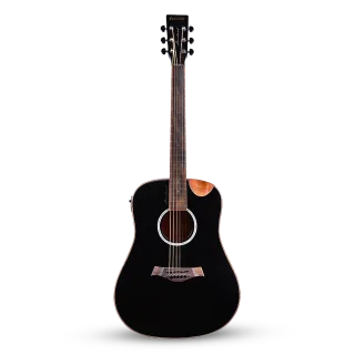 Electro Acoustic